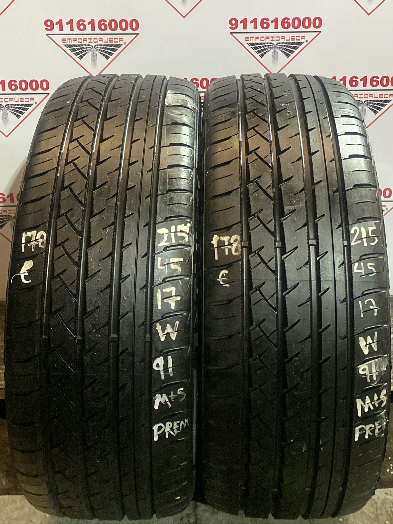 GRENLANDER  USADO PREMIUM M+S 215/45 R17 91 W